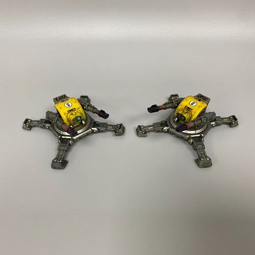 Imperial fists tarantula - 2,